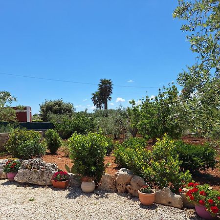 Baciati Dal Sole Apartment Martina Franca Luaran gambar