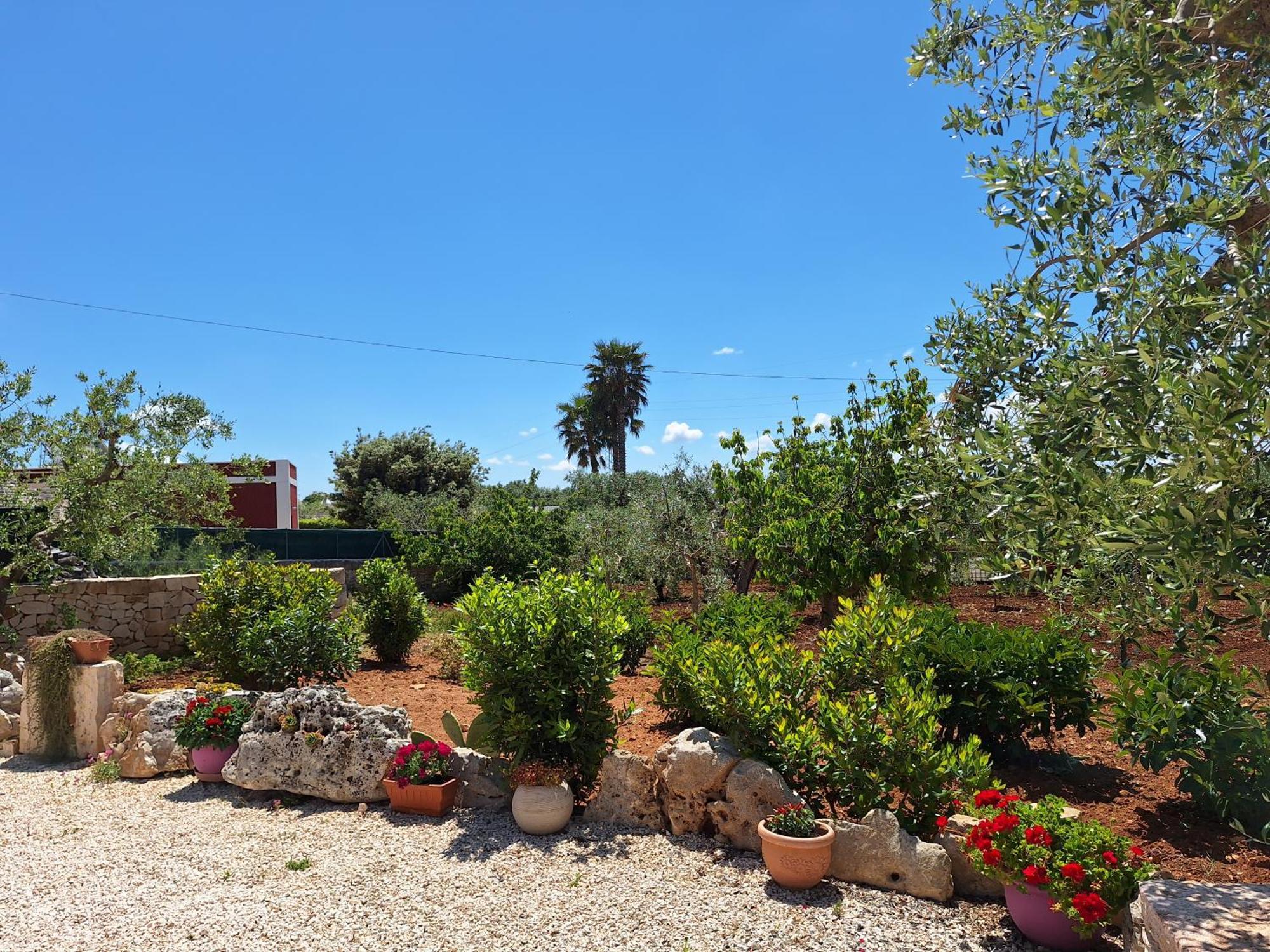 Baciati Dal Sole Apartment Martina Franca Luaran gambar